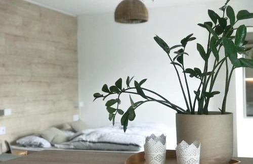 Riol Casa | Holiday home Treinen Ramona