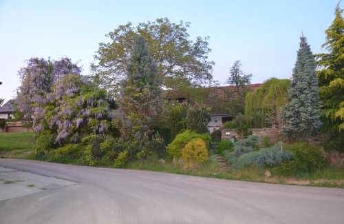 Kralice nad Oslavou Casa | Holiday Home U Černých Ovcí