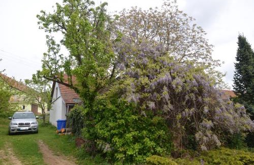 Kralice nad Oslavou Casa | Holiday Home U Černých Ovcí