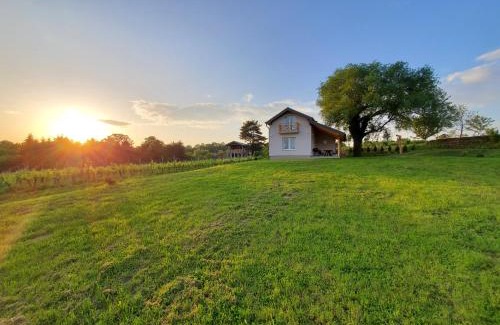 Kutjevo Casa | Holiday home Vinovilla