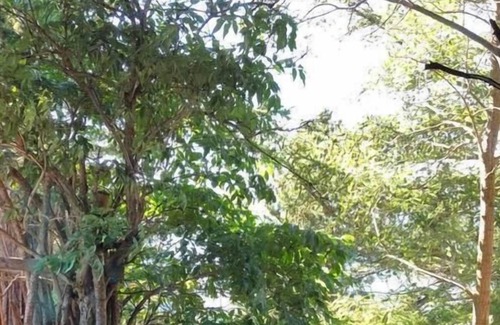 Buerchen Chalet De Esquí | Casa de vacaciones Bürchen para 2 - 4 personas con 2 dormitorios - Casa de vacaciones
