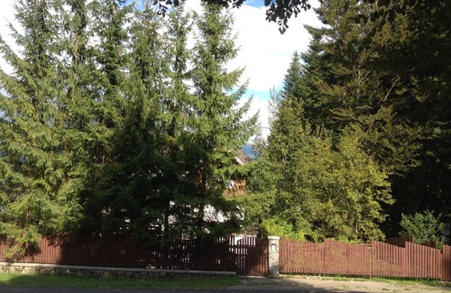 Sinaia Casa | Holiday House in Dracula Land - the Carpathians