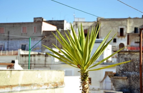 Canosa di Puglia Casa | Casa de vacaciones Canosa di Puglia para 1 - 5 personas con 3 dormitorios - Casa de vacaciones