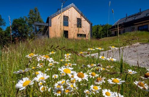 Lipno nad Vltavou Apartamento | Holiday House U Hájenky 5L Lipno Home