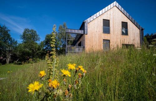 Lipno nad Vltavou Apartamento | Holiday House U Hájenky 5L Lipno Home