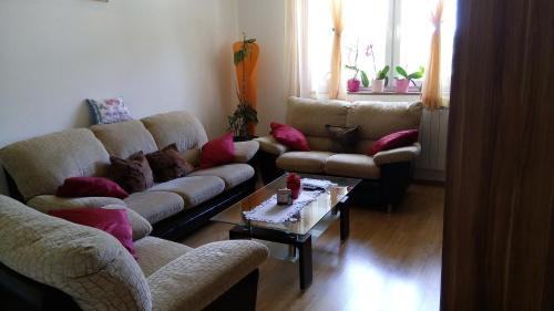 Seliste Casa | Holiday house with a parking space Smoljanac, Plitvice - 13741