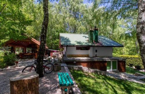Breze Casa | Holiday house with a swimming pool Breze, Novi Vinodolski - 20493