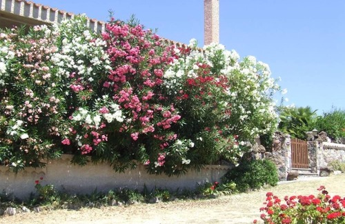 Santa Caterina Casa | CASA CON AMPLIO JARDIN Y VISTA HERMOSA EN EL MAR Y MONTAÑA