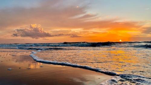 Municipality of Noordwijk Casa | Holiday house Zeelust - 2 km from the beach