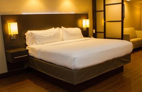 Wetmore Hotel | Holiday Inn Express & Suites San Antonio Medical - Six Flags by IHG