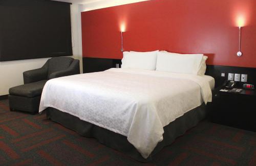Venustiano Carranza Hotel | Holiday Inn Mexico Dali Airport by IHG