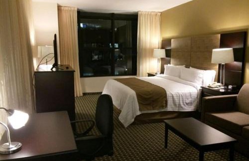 Santa Fe Hotel | Holiday Inn Mexico Santa Fe by IHG