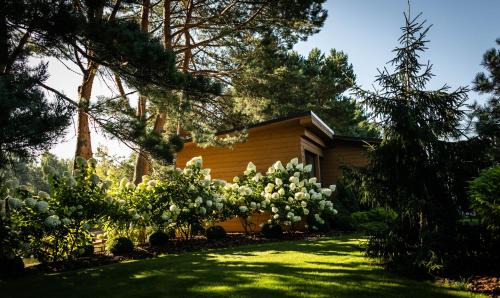 Palanga Casa | Holiday Villa Palanga