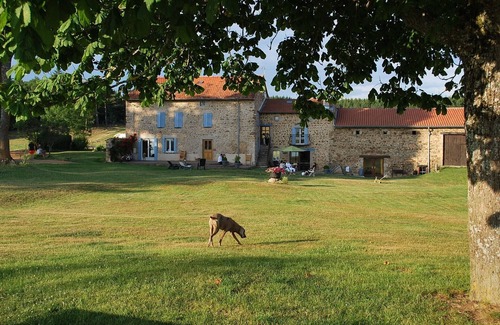 Vernet-la-Varenne Cabaña | ¡Las vacaciones en el campo son divertidas!
