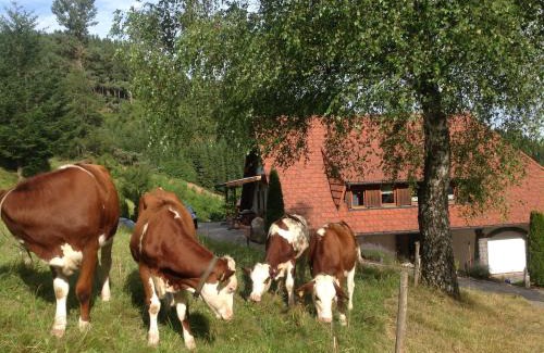 Triberg im Schwarzwald Apartamento | Holzbildhauerei Kammerer