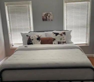 Fort Worth Cultural District Casa | Home in Fort Worth