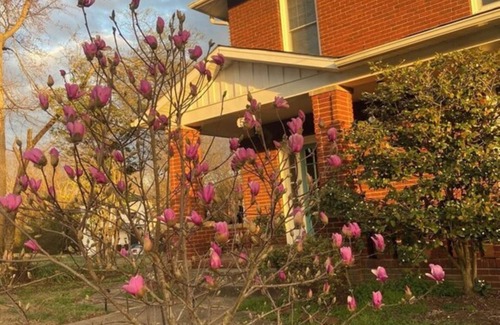 South Boston Casa | Home sweet home