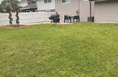 Homewood Casa | Home Sweet Homewood Family-friendly 4-bedroom house with huge backyard!