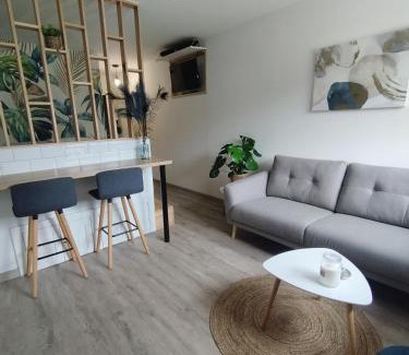 Plantieres Queuleu Apartamento | Home Sweet Metz & Place de parking privée