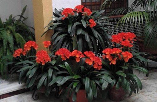 La Trinidad-San Juan y Todos los Santos Apartamento | Homerez - Apto, Centro Córdoba.