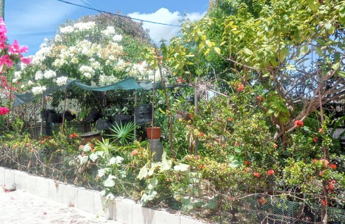 Port-Louis Apartamento | Homerez - Apto en Port-Louis con jardín