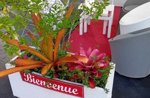 Morne Rouge Casa | Homerez - Bungalow en Sainte-Rose, piscina.