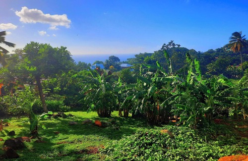 Cafeiere Casa | Homerez - Charming House in Deshaies, Private Pool