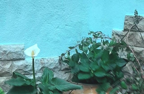 Ores Casa | Homerez - Casa encantadora en Orés