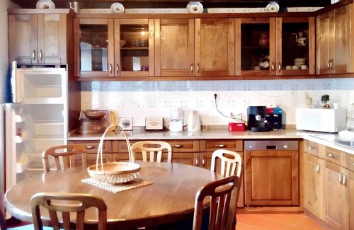 Castro Daire Villa | Homerez - Encantadora villa en Vila Seca con piscina privada
