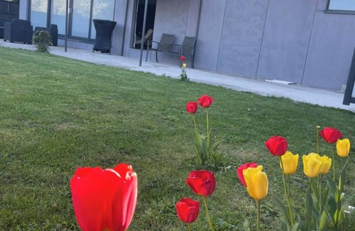 Tournai Casa | Homerez - Casa acogedora con jardín y jacuzzi en Tournai