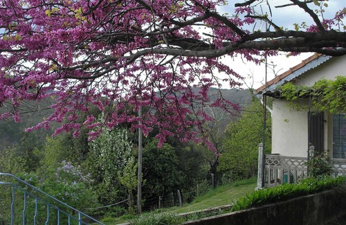 Saint-Martin-de-Boubaux Casa | Homerez - Casa en Saint-Martin-de-Boubaux