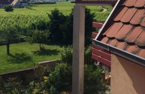 Ribeauville Apartamento | Homerez - Bonito estudio para 2 pers. en Ribeauville