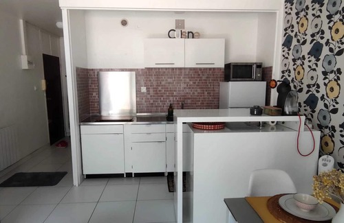 Saint-Cyprien Plage Apartamento | Homerez - Estudio Saint-Cyprien, vista jardín