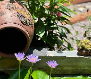 Tuy Phuoc Apartamento | Homestay Chuyện Của Nắng - Nang's Story