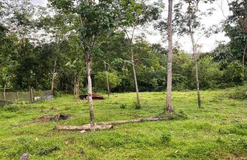 Jeli Casa | Homestay Kak soh 2 at Kampung Kalai Jeli Kelantan