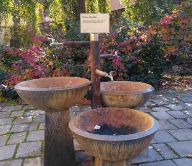 Podebrady Casa | Homestay Poděbrady