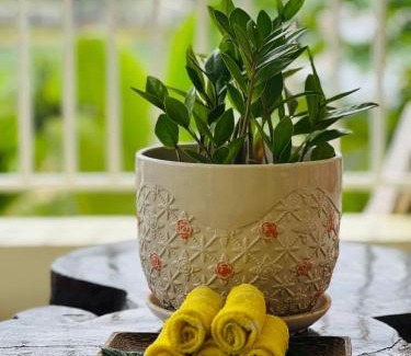 Siem Reap Casa | Homestay Yellow Natural House