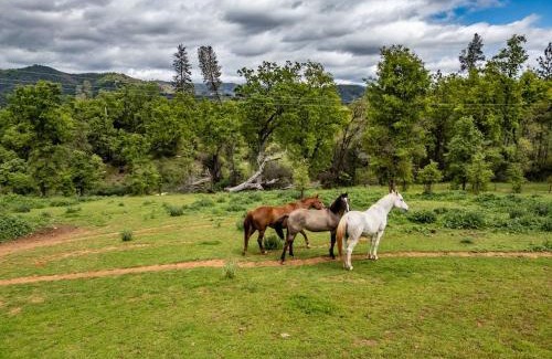 Midpines Casa | Homestead Ranch near Yosemite with Horses and Chickens
