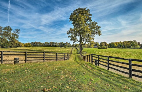 Lexington Cabaña | Homey Horse Farm Hideaway ~ 6 Mi to KY Horse Park!