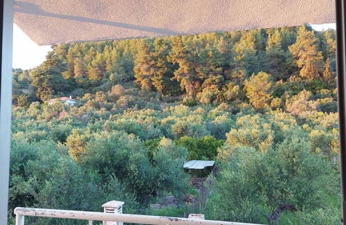 Pyrgos Cabaña | Homonatura. Sense of Native Living