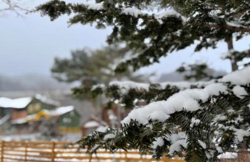 Bongpyeong Casa | Honey Bear Pension