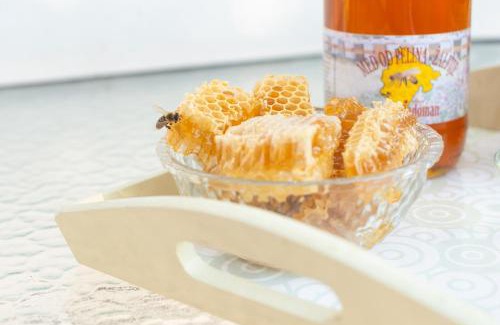 Virpazar Apartamento | Honey Farm House