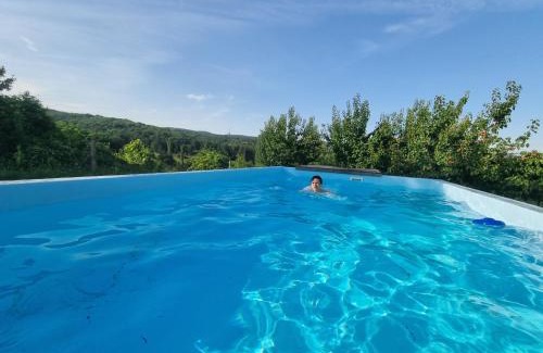 Irig Villa | HOOPOVO HOUSE Fruška gora
