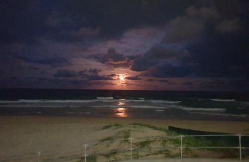 Mermaid Beach Hotel | Horizons Motel