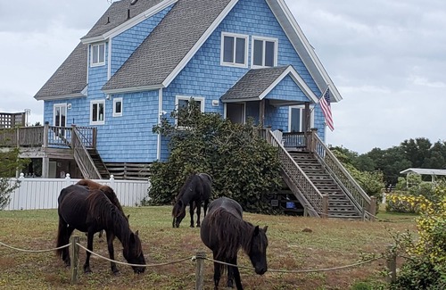 Carova Beach Casa | Horse Haven - Carova 4x4 Beach - Canal/Water Front - Pool & HotTub - Private Lot