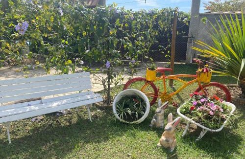 Quatis Casa | Hospedagem Recanto das Orquideas