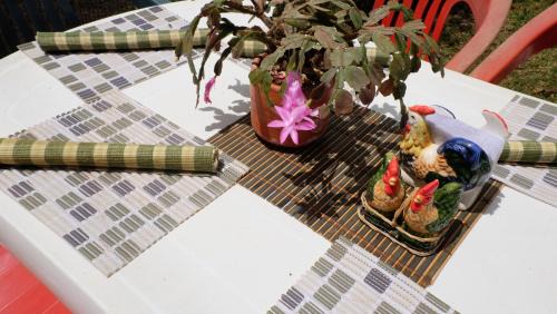 Villa de Leyva Casa | Hospedaje La Tierrita Villa de Leyva