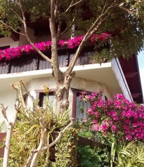 Treze Tilias Casa | Hospedaria Gãstehaus Enzian