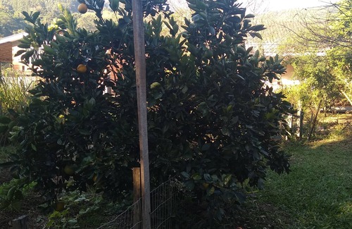 Tres Coroas Casa | Hospedaria Vó Schutz 2