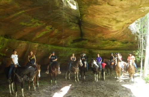 Jamestown Apartamento | Hospitality and HORSEpitality® at its best!